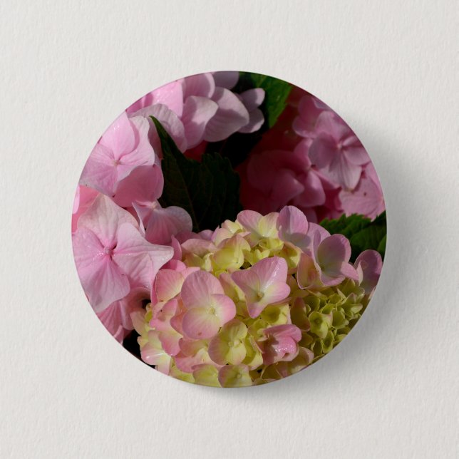 Pink Cream Hydrangeas gelb rosa grüne Blüte Button (Vorderseite)
