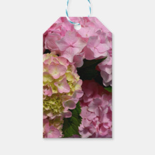Pink Cream Hydrangeas gelb rosa grüne Blüte Geschenkanhänger