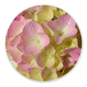 Pink Cream Hydrangeas gelb rosa grüne Blüte Keramikknauf