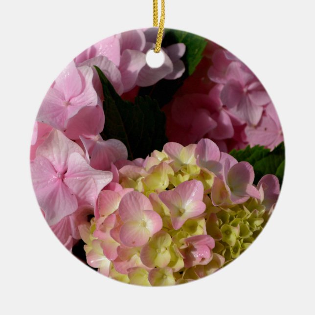 Pink Cream Hydrangeas gelb rosa grüne Blüte Keramikornament (Vorne)