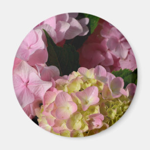 Pink Cream Hydrangeas gelb rosa grüne Blüte Magnet