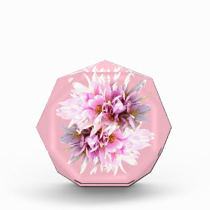 Pink Crocus Blume Bouquet Fotoblock