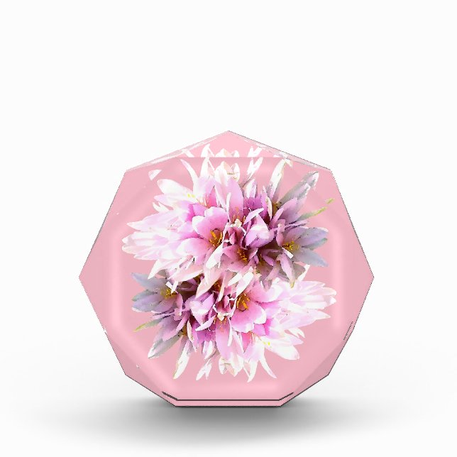 Pink Crocus Blume Bouquet Fotoblock (Vorderseite)