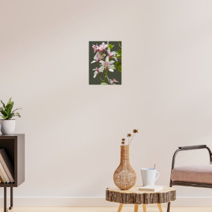 Pink Cymbidium Insigne Orchids Floral Poster