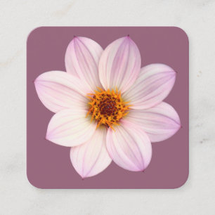 Pink Dahlia, #945E76 Quadratische Visitenkarte