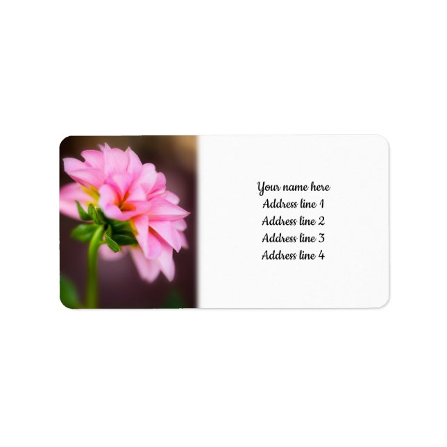 Pink Dahlia Adressaufkleber (Vorne)