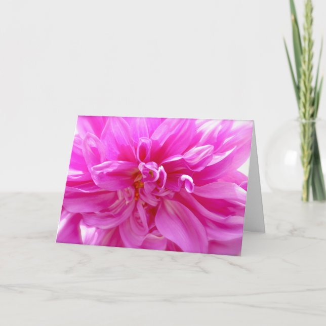Pink Dahlia Blank Floral Card Karte (Vorderseite)