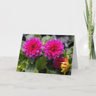 Pink Dahlia Blank Note Card Karte
