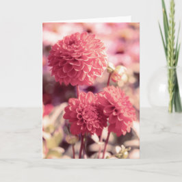 Pink Dahlia Blooms Note Karte