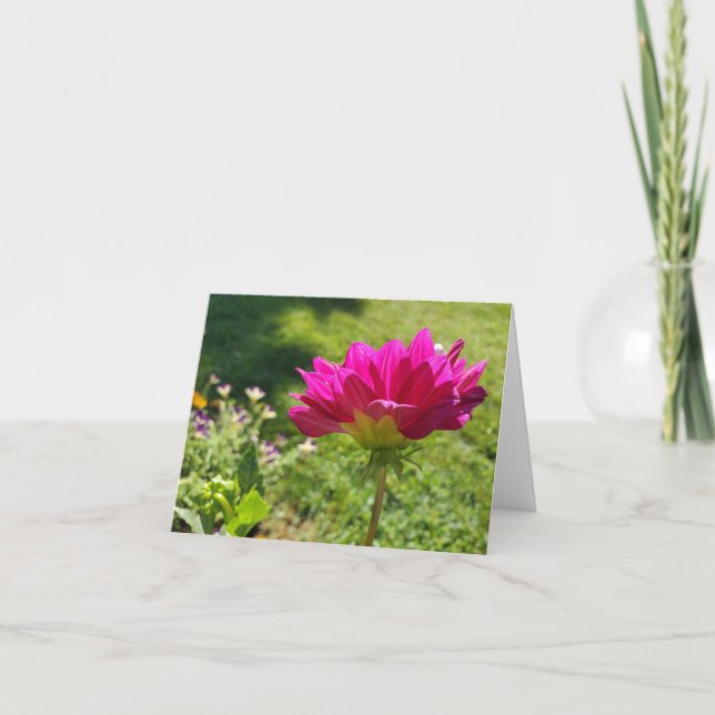Pink Dahlia Dankeskarte (Vorderseite)