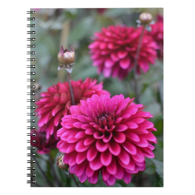Pink Dahlia Floral Fotobuch Notizblock (Vorderseite)