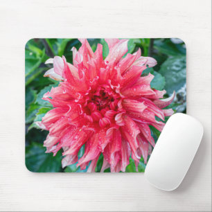 Pink Dahlia Fotografie, kanadische Blume Mousepad