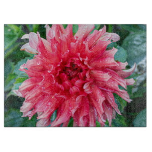 Pink Dahlia Fotografie, kanadische Blume Schneidebrett