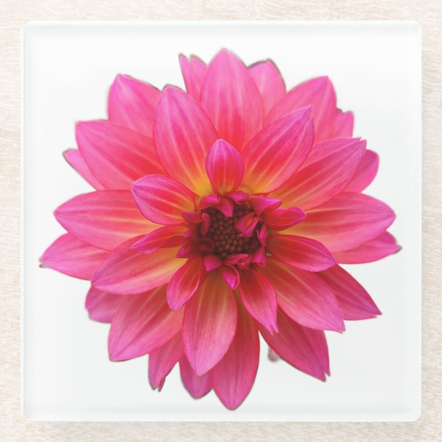 Pink Dahlia Glasuntersetzer (Vorderseite)