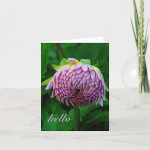PINK DAHLIA KARTE