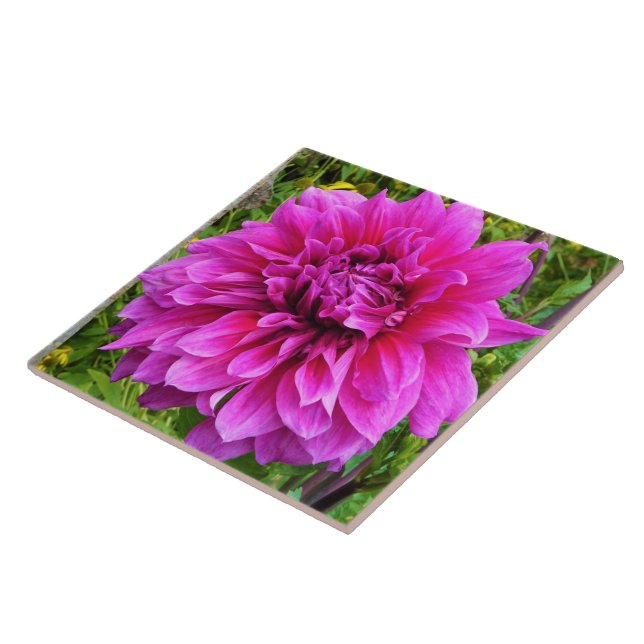 Pink Dahlia Keramik Tile Fliese (Seite)