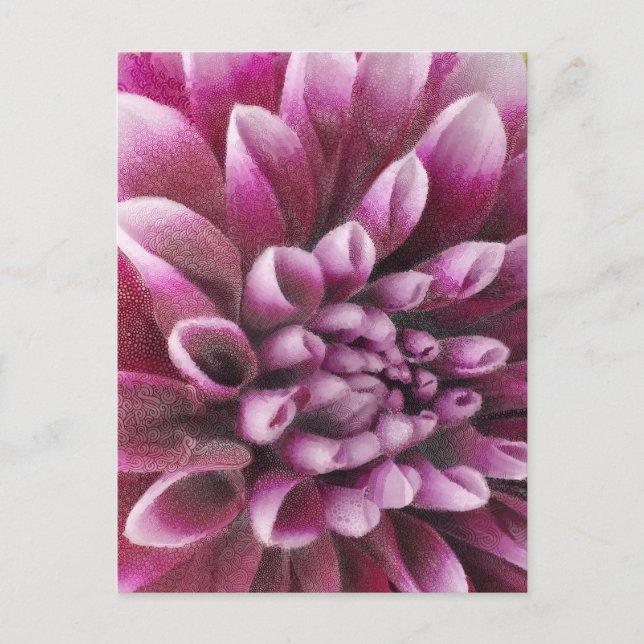 Pink Dahlia Postkarte (Vorderseite)