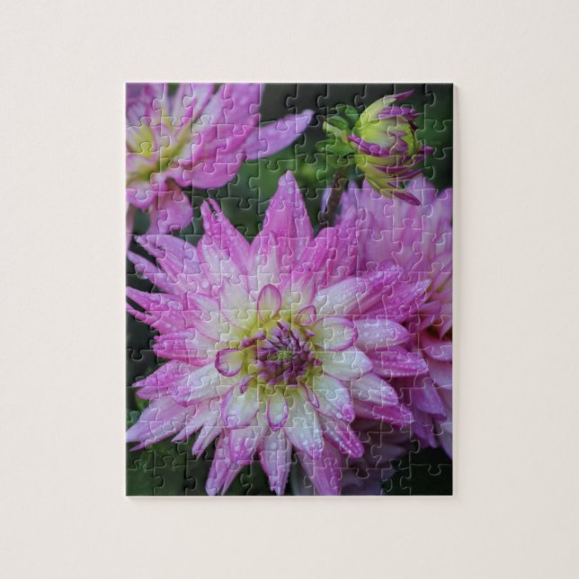 Pink Dahlia Puzzle (Vertikal)