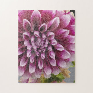Pink Dahlia Puzzle