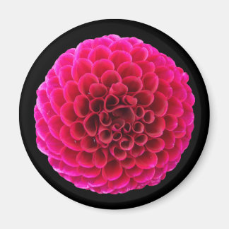 Pink Dahlia Round Kühlschrankmagnet Blumengeschenk Magnet