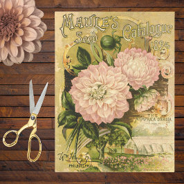 Pink Dahlia Vintage 1894 Blumensaatgut Katalog Seidenpapier