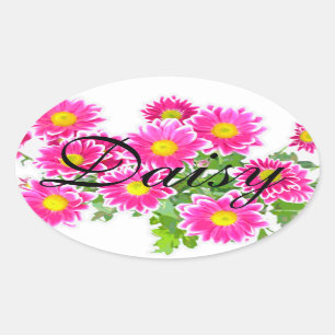 Pink Daisies / Asters Bouquet + Ihre Ideen Ovaler Aufkleber