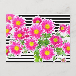 Pink Daisis / Asters Bouquet & Strips + Ihre Idee Postkarte