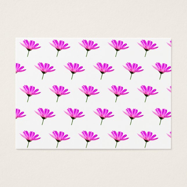Pink Daisy (Vorderseite)
