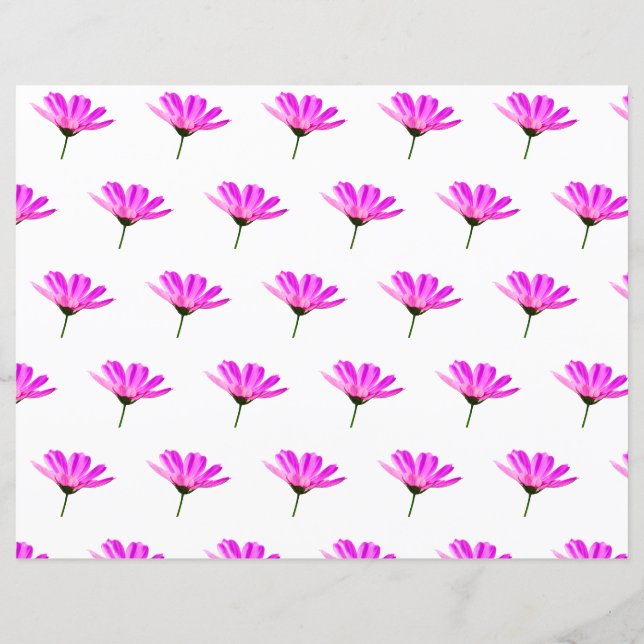 Pink Daisy (Vorderseite)