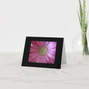 Pink Daisy Beauty Karte