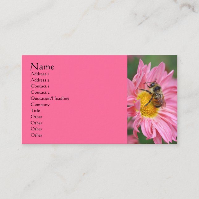 Pink Daisy Bee Flower Fotografy Business Card Visitenkarte (Vorderseite)