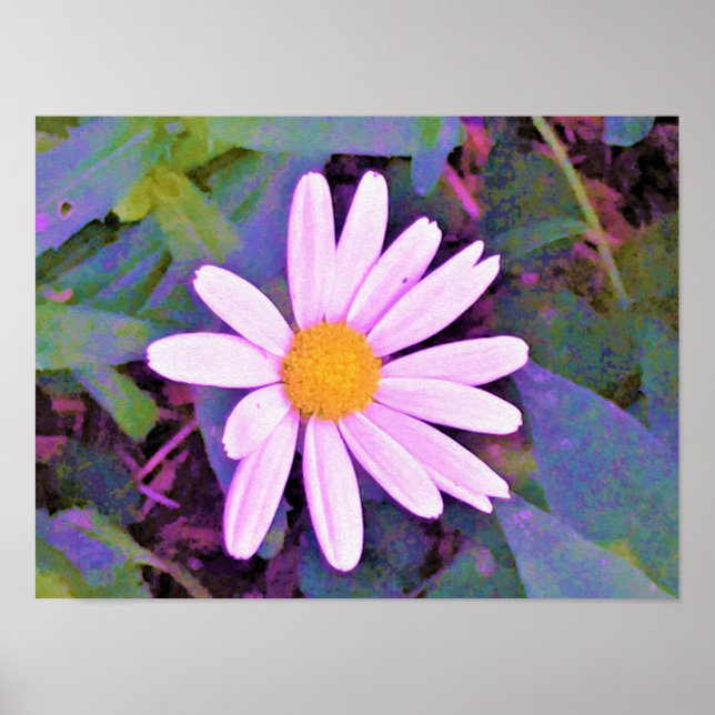 Pink Daisy Blume Poster (Vorne)