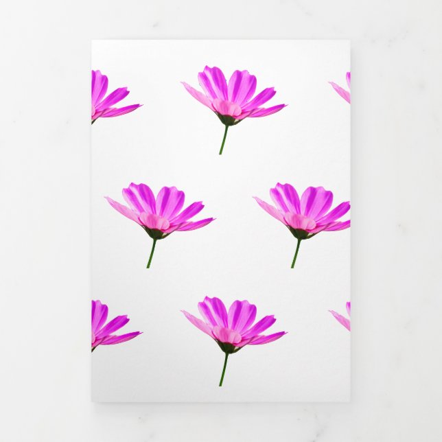 Pink Daisy Dreifach Gefaltete Ankündigung (Cover)