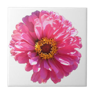 Pink Daisy Fliese