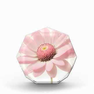 Pink Daisy Floral Design Fotoblock
