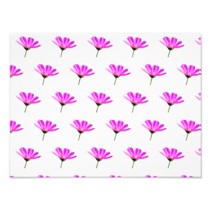 Pink Daisy Fotodruck