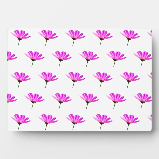 Pink Daisy Fotoplatte (Vorderseite)