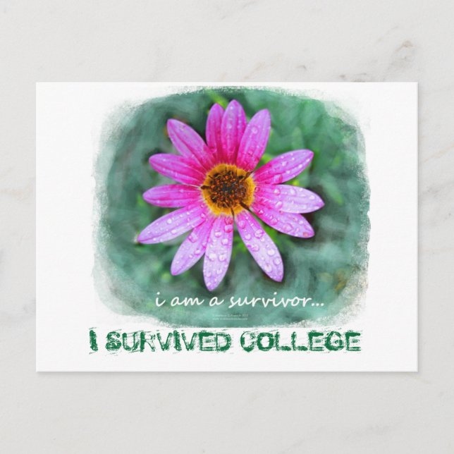 Pink Daisy Ich bin ein Überlebender Postkarte (Vorderseite)