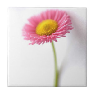 Pink Daisy Keramik Tile Fliese