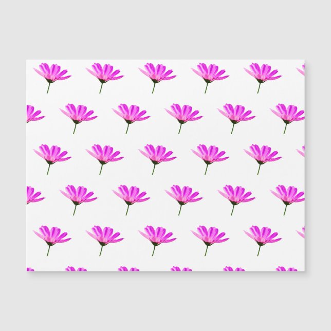 Pink Daisy Magnetkarte (Vorderseite)
