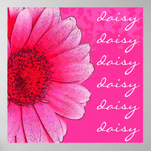 Pink Daisy Poster