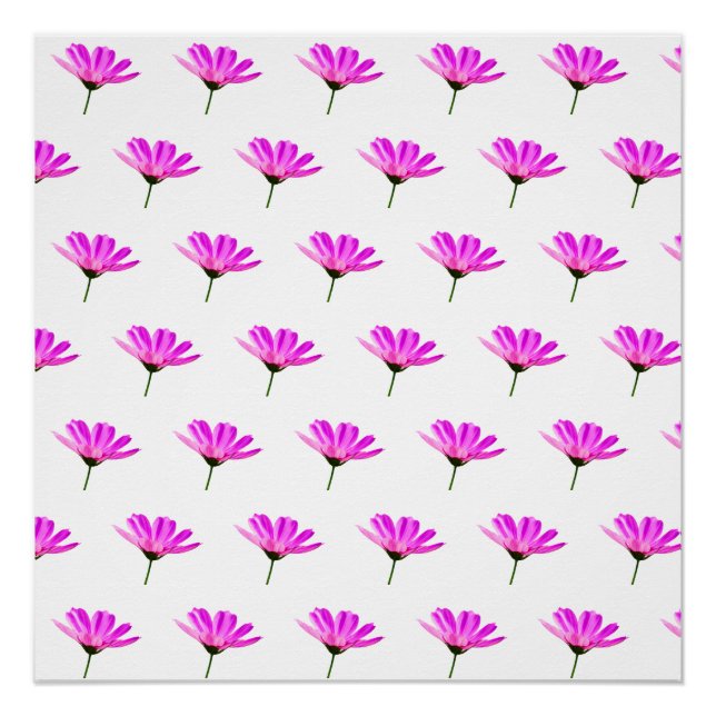 Pink Daisy Poster (Vorderseite)