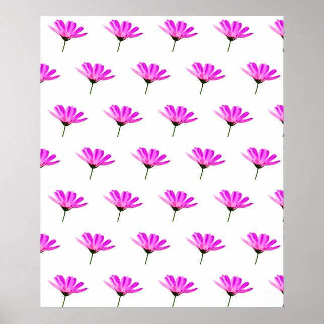 Pink Daisy Poster (Vorne)