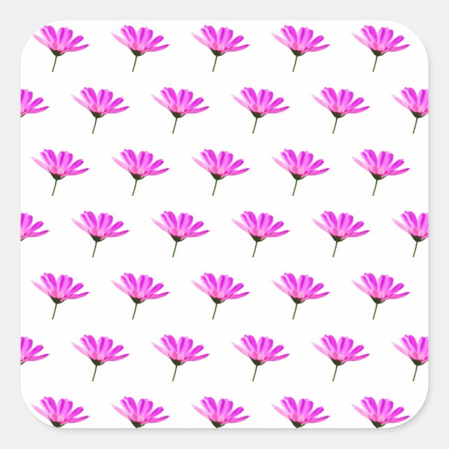 Pink Daisy Quadratischer Aufkleber (Vorderseite)