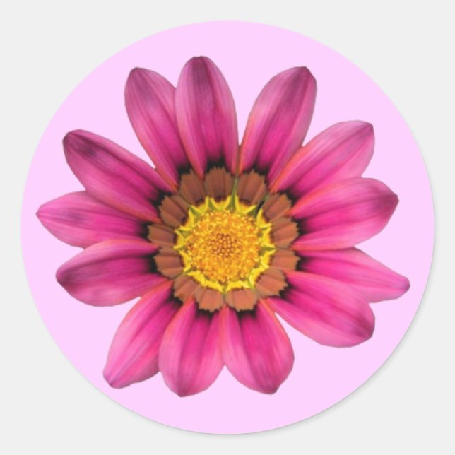 Pink Daisy Sticker (Vorderseite)