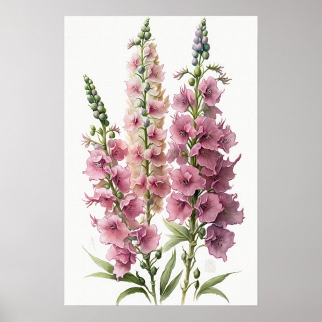 Pink Delphinium Blume Art Print Poster (Vorne)