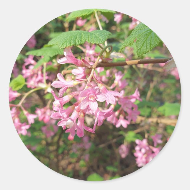 Pink der Schlüssel im Park Runder Aufkleber (Vorderseite)