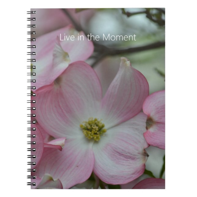 Pink Dogwood Flowers (my photography) Notizblock (Vorderseite)