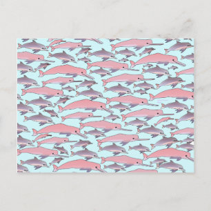 Pink Dolphin Pattern Postkarte