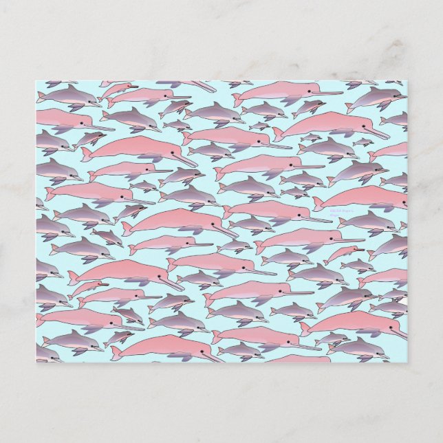 Pink Dolphin Pattern Postkarte (Vorderseite)